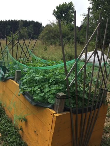 Lidl Bild Das Jahr 2018